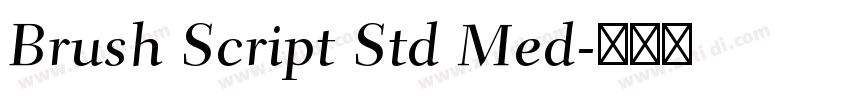 Brush Script Std Med字体转换